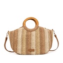 Bolso Aira